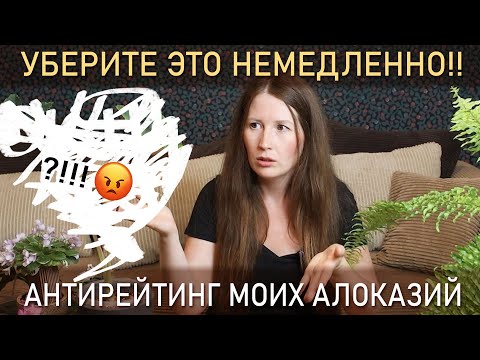 Remove this immediately!! ANTI-RATING my alocasias