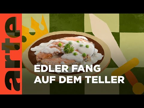 Schweiz: Seesaibling | Küchen der Welt | ARTE Family