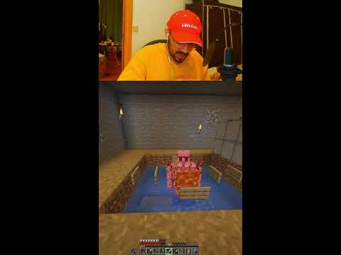 MINECRAFT last day of bad internet [SHORTS]