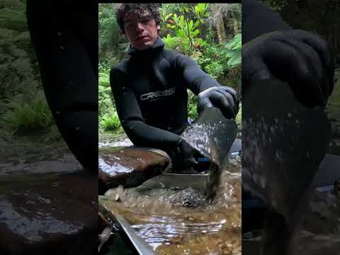 Finding Chunky Alluvial Gold Using a Sluice Box!