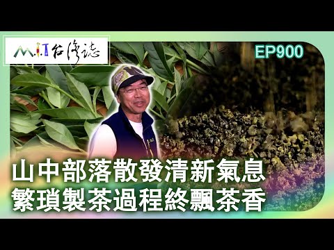 山中部落散發清新氣息 繁瑣製茶過程終飄茶香｜嘉義縣阿里山鄉 麥覺明【@ctvmit900集】