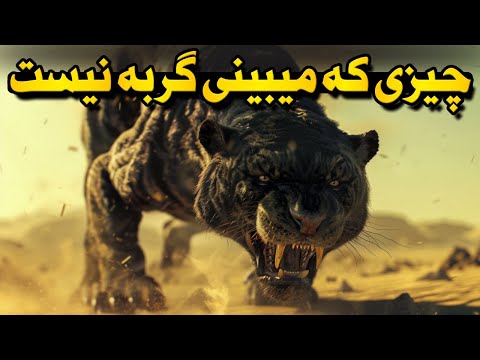 هر بار که دنیا یه گربه‌ی عجیب ساخت!