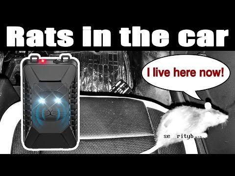 Do Ultrasonic Rat Repellers & Peppermint Oil Really Work? | Car Rodent Problem Solved!