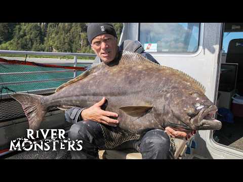 Best Moments and Catches in North America | River Monsters