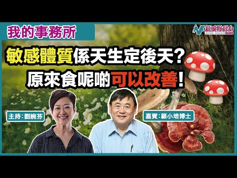 【我的事務所】鼻敏感、皮膚敏感係天生定後天形成？如何改善敏感體質？｜原來增加體內IL1是關鍵！丨螺旋藻素｜乙聚醣｜顧小培 劉婉芬