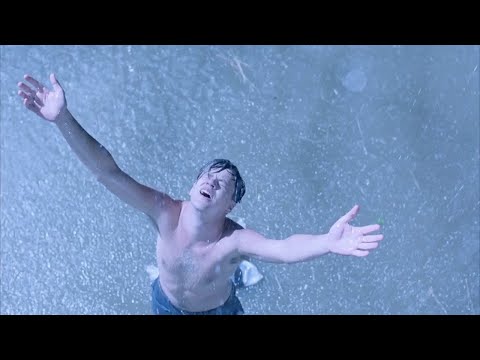 『쇼생크 탈출』 천재 은행가 앤디의 시점으로 다시보기