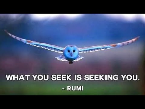 Rumi ~ ๐๐ง๐ญ๐จ ๐๐ญ๐๐ซ๐ง๐ข๐ญ๐ฒ ~ Sufi Mysticism