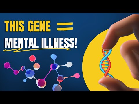 Genetics and Mental Health: The MTHFR Gene