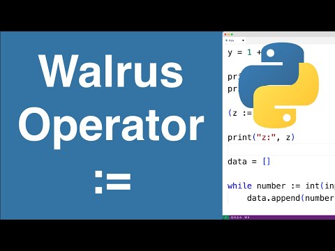 Walrus Operator | Python Tutorial