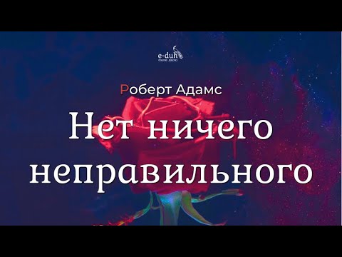 Роберт Адамс - Нет ничего неправильного [Nikosho]