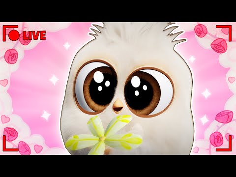 🔴 LIVE Happy Valentine’s Day from Angry Birds! 😍💖