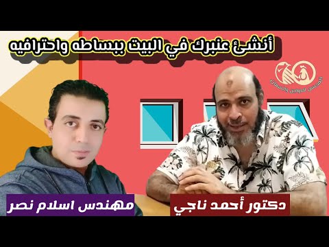 إزاي تجهز عنبرك في البيت بطريقة إحترافية وبأقل التكاليف 👑 المحسن#غزة#الفراخ#البيضا#الذهبية#