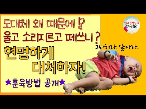 [육아]민주선생님이 알려주는 훈육시기와 방법/ 16~30개월아기 더 떼쓰는 이유/훈육할 때 주의점/ 민주선생님