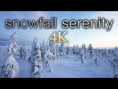 Feel the Winter Magic | 4K Ambient Film