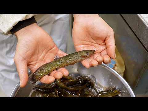 전통 방식 대형 가마솥 사골 미꾸라지 추어탕 만드는 과정| Chueotang (Korean Loach Soup) | Korean Street Food