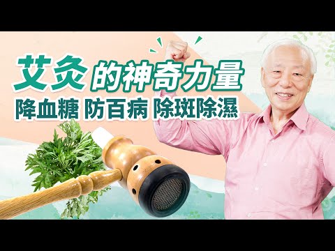長壽秘訣！常艾灸1穴，防百病降血糖。捻艾粒獨門技法大公開！去除斑點還不留疤。記起來！這3類人不宜艾灸。它是體內除濕神器。艾灸可預防中風｜ 胡乃文開講Dr.HU_193