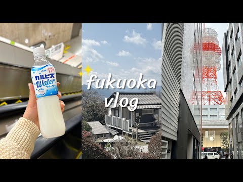 vlog 1ㅣ후쿠오카 여행ㅣ4박5일ㅣ나홀로 여행ㅣ후쿠오카 맛집 추천ㅣ하카타 숙소ㅣ이와타야 백화점ㅣ일본 편의점ㅣ크루아상 맛집ㅣ티파니앤코 1837 반지ㅣ다이묘거리