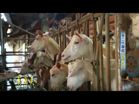 2017.08.06【台灣真善美】羊二代發起"羊奶革命"