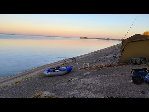 WE STAND ON THE PLATES AND THE rabid biting began. Fishing for wild carp