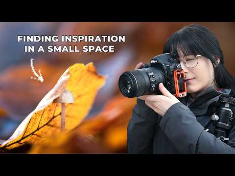 Unlocking Curiosity with Late Autumn Macro Photography