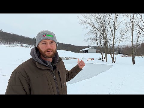 Pond + Solar Kiln Update