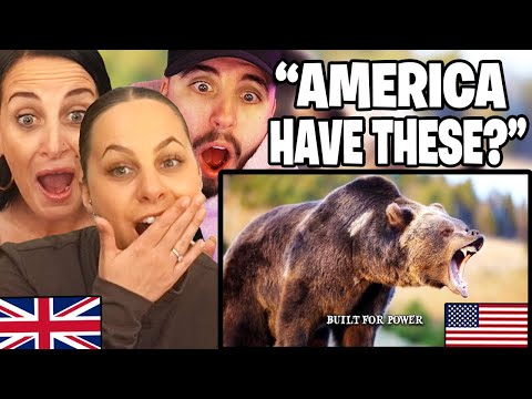 British Family Reacts to the Most DANGEROUS ANIMALS In The UNITED STATES...