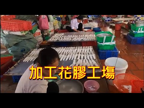加工花膠工塲 -
