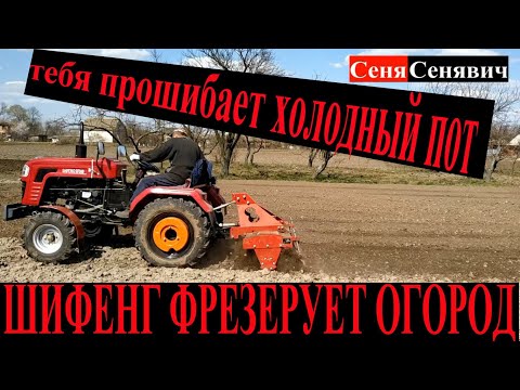 Минитрактор Шифенг 240 и почвофреза 140, как шифенг фрезерует огород, СЛАБЫМ ДУХОМ не повторять)
