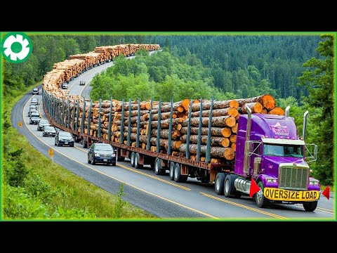 99 Jaw-Dropping Most Dangerous Transport Skills | Biggest Heavy Machinery Machines