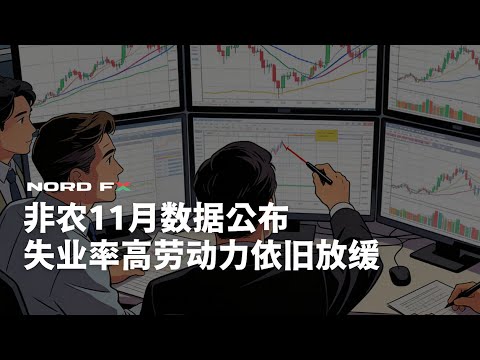 「行情解读」非农11月数据公布失业率高劳动力依旧放缓