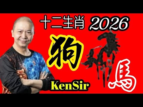 🐶㊙️🦄💖【馬年十二生肖】｜2026年｜生肖狗｜運程｜#電話號碼昇運 #八字 #十二生肖 
