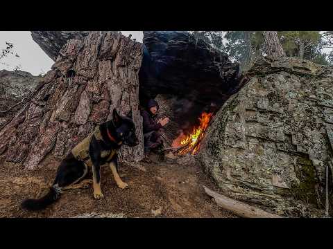 Winter Survival Camp in Rock Cave | Bushcraft Camp in Various Weather Conditions, Snow, Hail, Rain