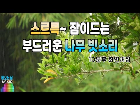 나도 모르게 잠이드는 부드러운 빗소리/ 이명치료효과/ 10분후 화면꺼짐