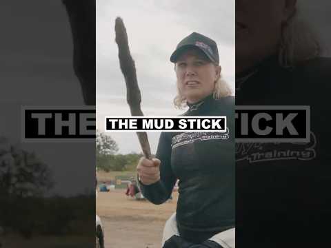 The Mud Stick