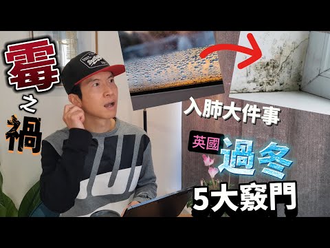 [切勿輕視] 潮濕到發霉，霉菌入肺大件事😨業主租客都要留意！英國過冬5大竅門｜點樣住好你間屋？ #BNO #移民英國