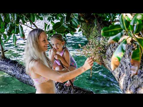 Spring on the island (EXTENDED CUT)