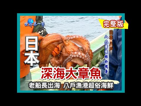 【日本】青森海鮮天堂 八戶漁港超俗特色海鮮（老船長出海戰深海大章魚／秋保芥末菜）｜《世界第一等》194集小馬完整版
