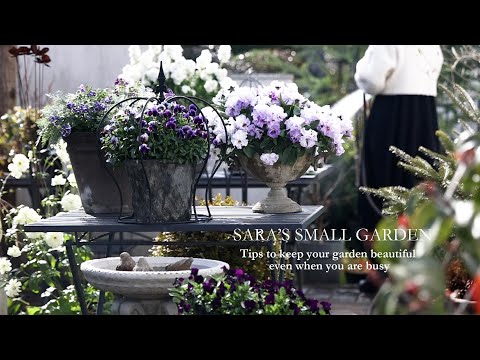 Tips to keep your garden beautiful even when you are busy