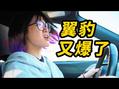 我的翼豹，跑不過影豹……