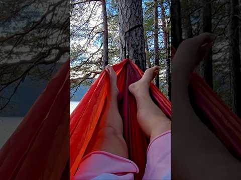 How I Create Income in Any Market