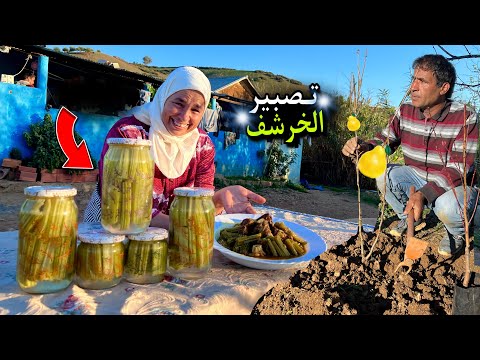 تخليل الخرشف البلدي و غرس اشجار الفواكه باسهل طريقة في العالم