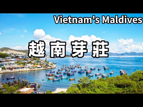 Chinese tourists visiting Nha Trang  Vietnam! Hawkers selling durians here can speak Chinese  and t