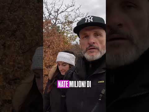 Le PIRAMIDI SEGRETE della Bulgaria 😱 Nessuno ne parla!