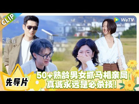 日落时分说爱你 先导片：50+熟龄男女麦田抓马相亲局 #恋综 #日落时分说爱你