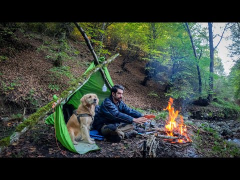 فرار از شلوغی شهر به دل جنگل! 🏕🔥 کمپینگ تنهایی با سگم در منطقه شکار ممنوع سوادکوه!