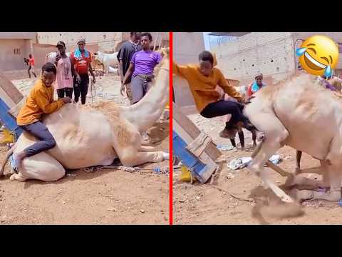 Extreme funny videos you can only see in Africa! 😂 | Part 6