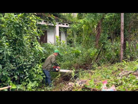 He told the story of this house in a state of panic - SHOCKING TRANSFORMATION