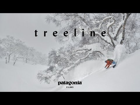 Treeline: The Secret Life of Trees | Patagonia Films