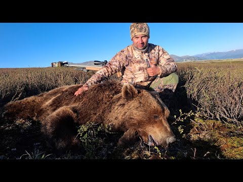 ГОРНАЯ ОХОТА НА ОГРОМНОГО БУРОГО МЕДВЕДЯ/ НЕДЕЛЮ НА КОНЯХ/ ЗАТЕРЯННЫЙ КУМИР/ ГОРНЫЙ АЛТАЙ