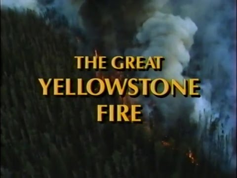 The Great Yellowstone Fire (1990)